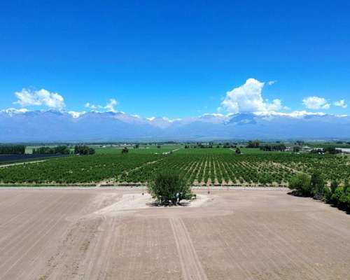 Finca en Venta 30 Ha / las Pintadas - Tunuyán