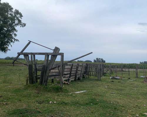 Campo Mixto 32 Hectáreas con Casco Roque Pérez