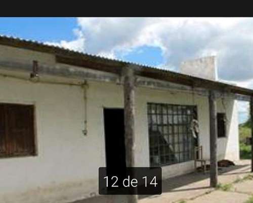 Alquilo 2600 Hectáreas Zona Villa Guillermina