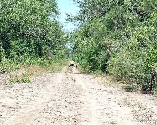 Zona General Guemes Chaco
