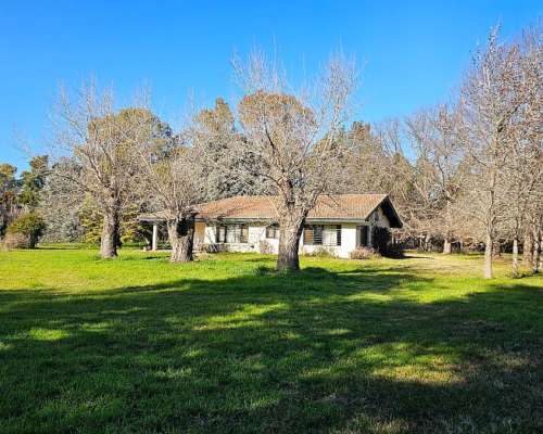 71 Has. Campo Agrícola con Mejoras y Arboleda en Torres