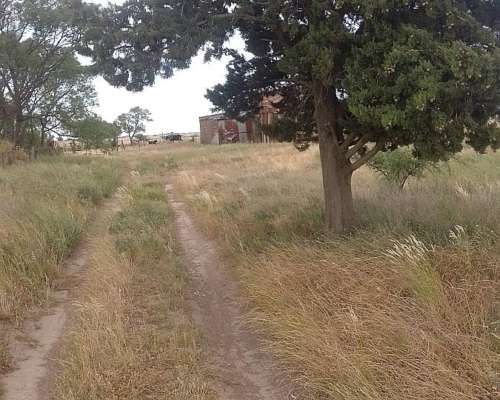 151 Ha Mixto Abramo la Pampa
