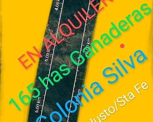 Particular Ofrece en Alquiler Campo Ganadero