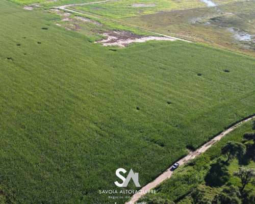 Vende: Campo de 180 Hectáreas. Ubicadas en Bernardo Larroudé
