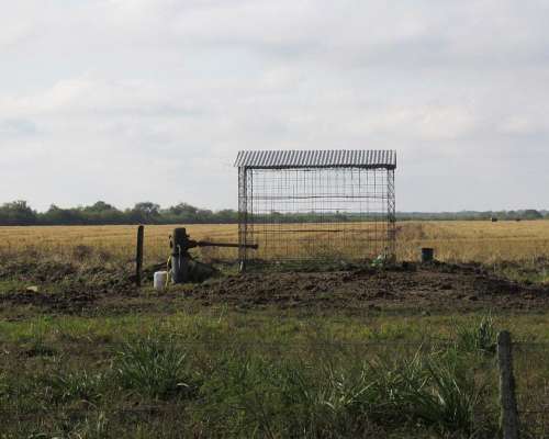 1.239 Has - en Venta - Federal - Entre Ríos