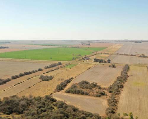 Las Bajadas, Calamuchita, Córdoba - 72 Ha