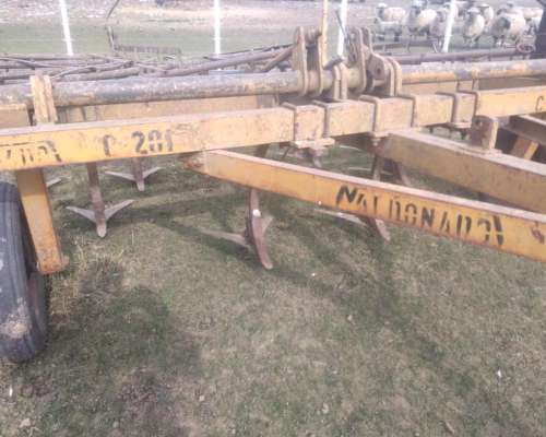 Cinceles Marca Cele, Indaso, Maldonado