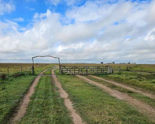 Campo Agricola Ganadero 600 Ha las Flores