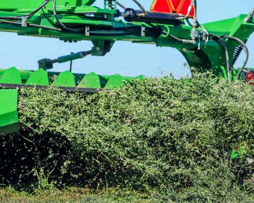 Segadora Montecor SE938 Nueva