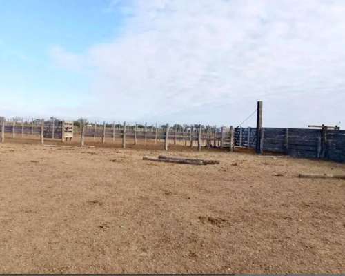 Campo Mixto de 3000 Hectáreas