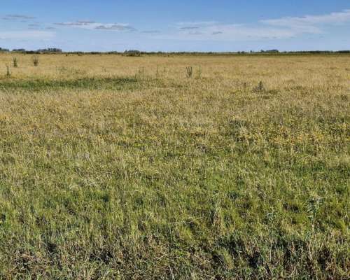 Rauch, Buenos Aires - 60 Ha