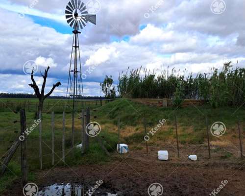 Campo en Venta 441 Has en General Villegas, Bs.as, Mixtas.