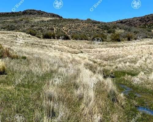 Campo en Venta 4394 Has en las Bayas, Bariloche. Ganadero.
