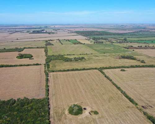 Gualeguay, Entre Ríos - 49ha