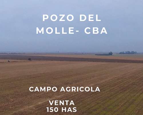 Se Vende Campo Agricola - Pozo del Molle