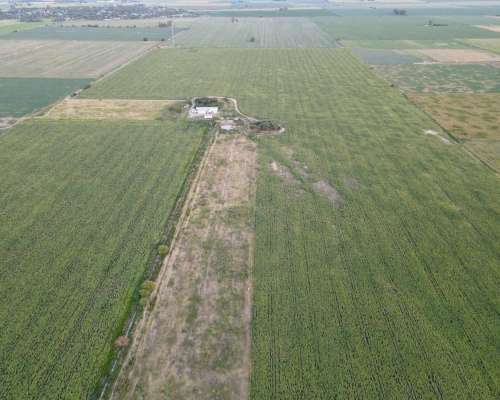 590 Ha - San Genaro (santa FE) - Ganadero