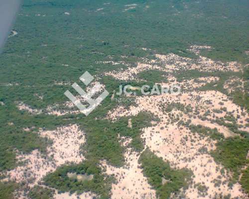 Muy Buen Campo Mixto en Venta