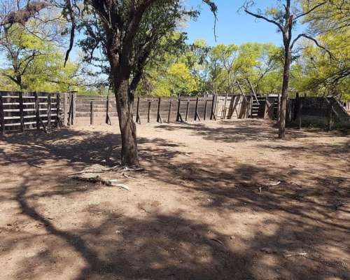 Clodomira, Banda, Santiago del Estero - 4.330 Ha