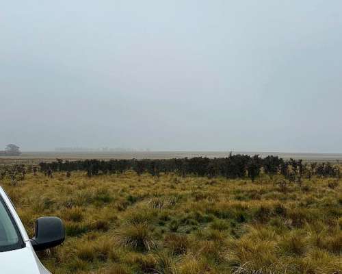 Vendo Campo de 380 Has en Villa Iris