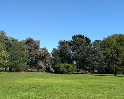 La Plata- 134 HA- Buenos Aires