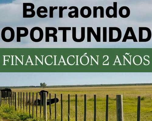 Campo en Venta – 734 Has Berraondo (villarino)
