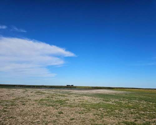 Campo Ganadero Venta 3000 Ha Saladillo