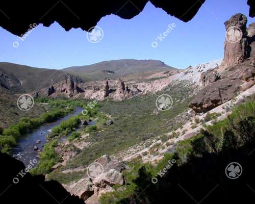 Campo en Venta de 635 Has Bariloche, Costa de Pichileufu