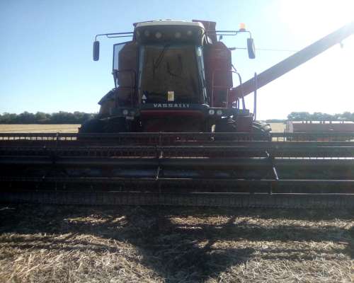 Vassalli 1550, Plat 28 Pies, con Mapeo