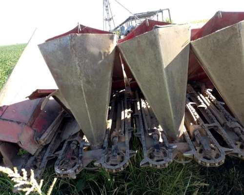 Se Vende de 9 a 52cm