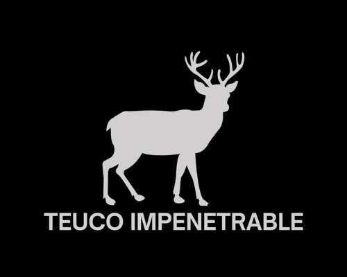 300ha Agroganadero en Chorotis, Chaco