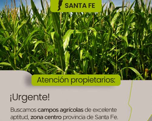 Atención Propietarios Santa FE. Buscamos Campos para Alquila
