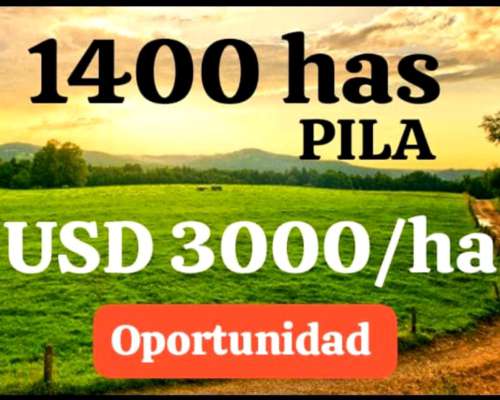 Campo Zona de Pila