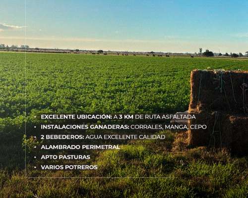 Arocena 230 Has Ganaderas. Instalaciones. Campo en Venta