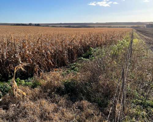 Tandil, Buenos Aires - 850 Ha