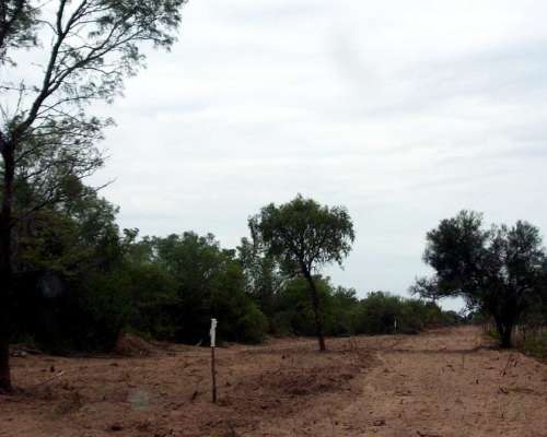 Campo en Venta de 2.124 Ha Sobre RN34