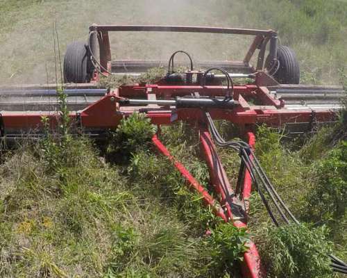 Rolo Dolbi Lina RGL - Rolo Liviano RS 6750