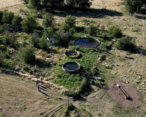 300 Has Mixtas Monte Nievas