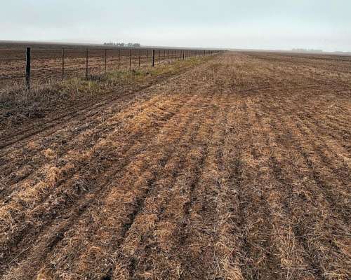 220 Ha Cabildo, Tornquist