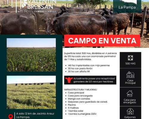 Campo en la Pampa