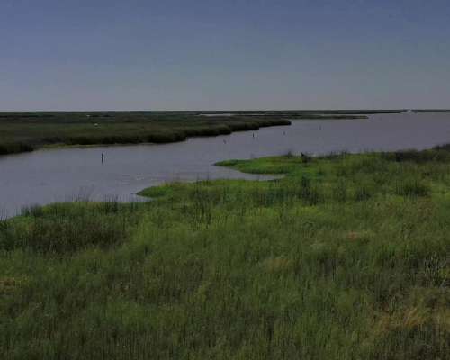 Gran Campo Ganadero 8000 Has Abundante Agua y Pasturas