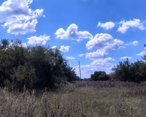 Capo Ganadero en Arriendo