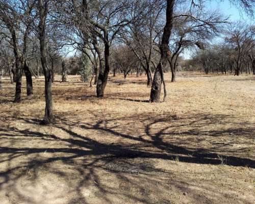 3.300 Has. Campo en Ayacucho, San Luis