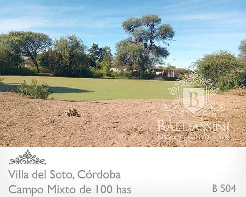 Campo Mixto - Villa del Soto - Córdoba - 100 Has