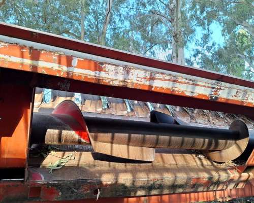 Girasolero Maizco 18 a 52 Bandeja Fina