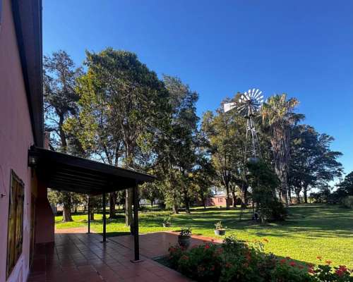 Campo 114 Hectáreas Agrícolas C/ Excelentes Mejoras.