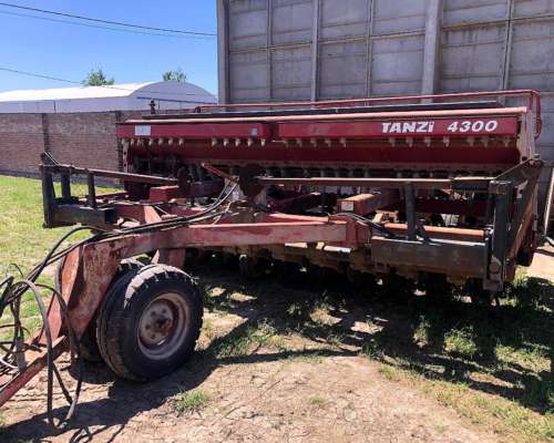 Oferta Tanzi de Grano Fino