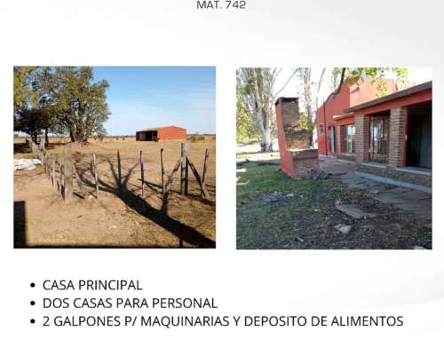 Establecimiento el Roble - Santa FE