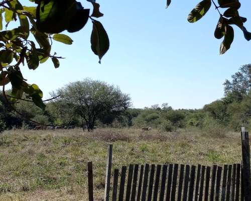 2.895 Ha en Paraguay- Magnífica para Ganadería