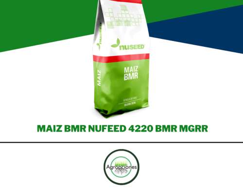 Semilla de Maiz BMR Nufeed 4220 BMR MGRR2