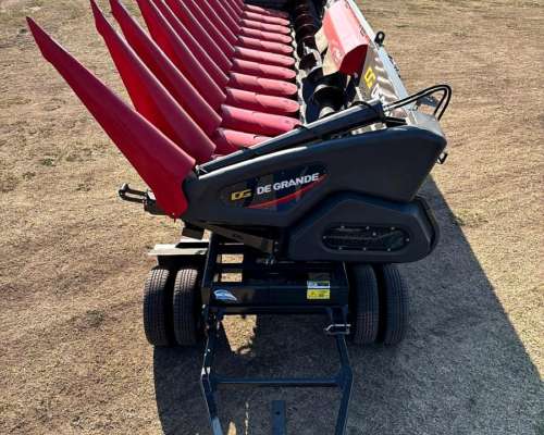 Maicero de Grande 16 a 52 DGM Serie D , Nuevo, año 2025.